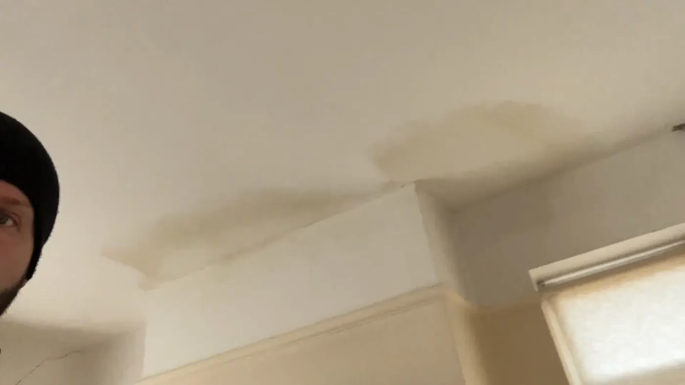 A brown damp stain spreading across a lounge ceiling next to the chimney breast.