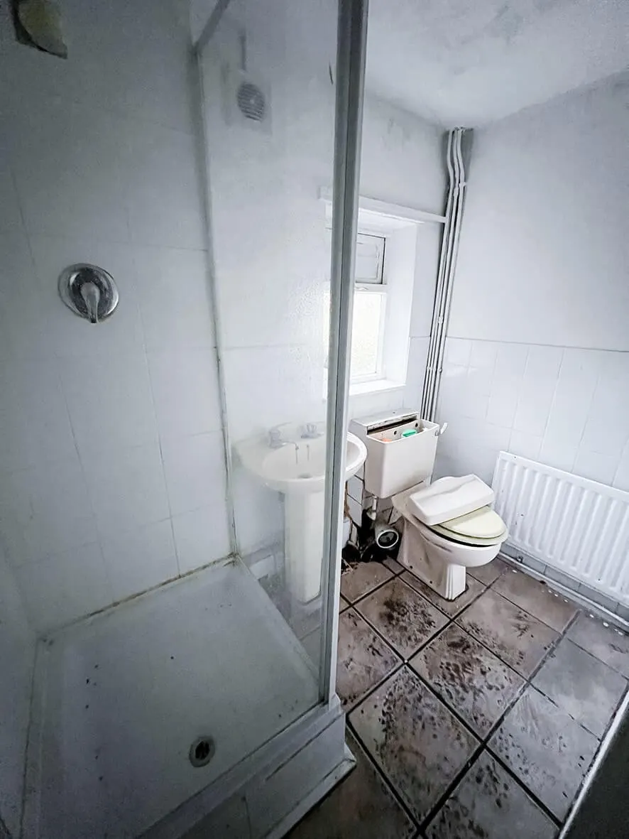 Before · damp damage