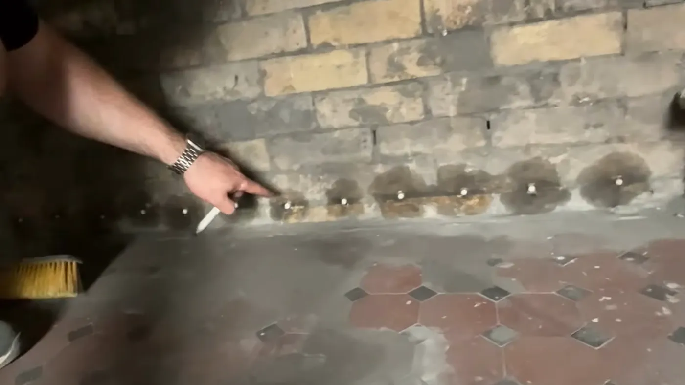 A row of installed damp proofing rods in a mortar course, each surrounded by a dark halo where the silane has spread into the brickwork.